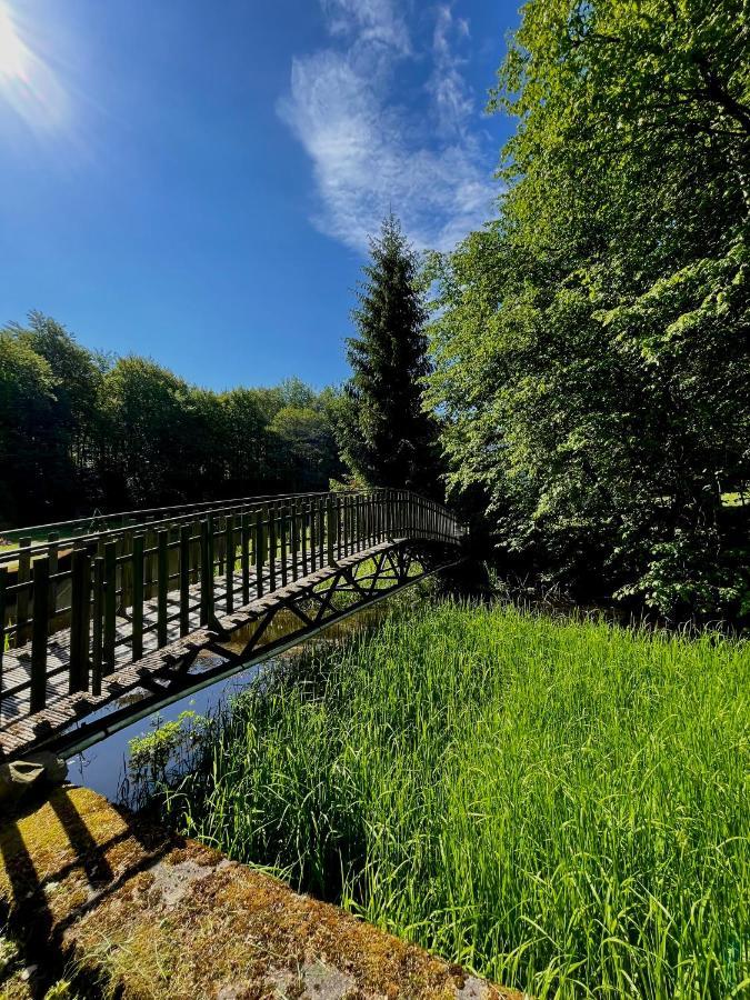 Domek W Glebi Lasu Nad Stawem Wierszyno Eksteriør bilde
